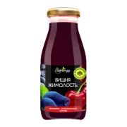Нектар BioNergy  0,2л Вишнево-жимолостный 1*10