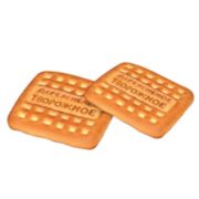 Творожное сах.печенье дет.пит. 1*4,8 Т 91 Киров